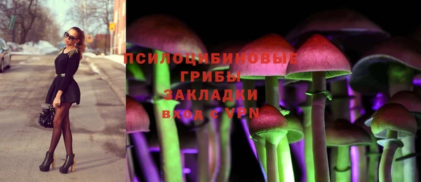 a pvp Кукмор
