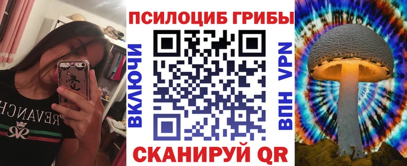 Псилоцибиновые грибы Psilocybe  Екатеринбург 